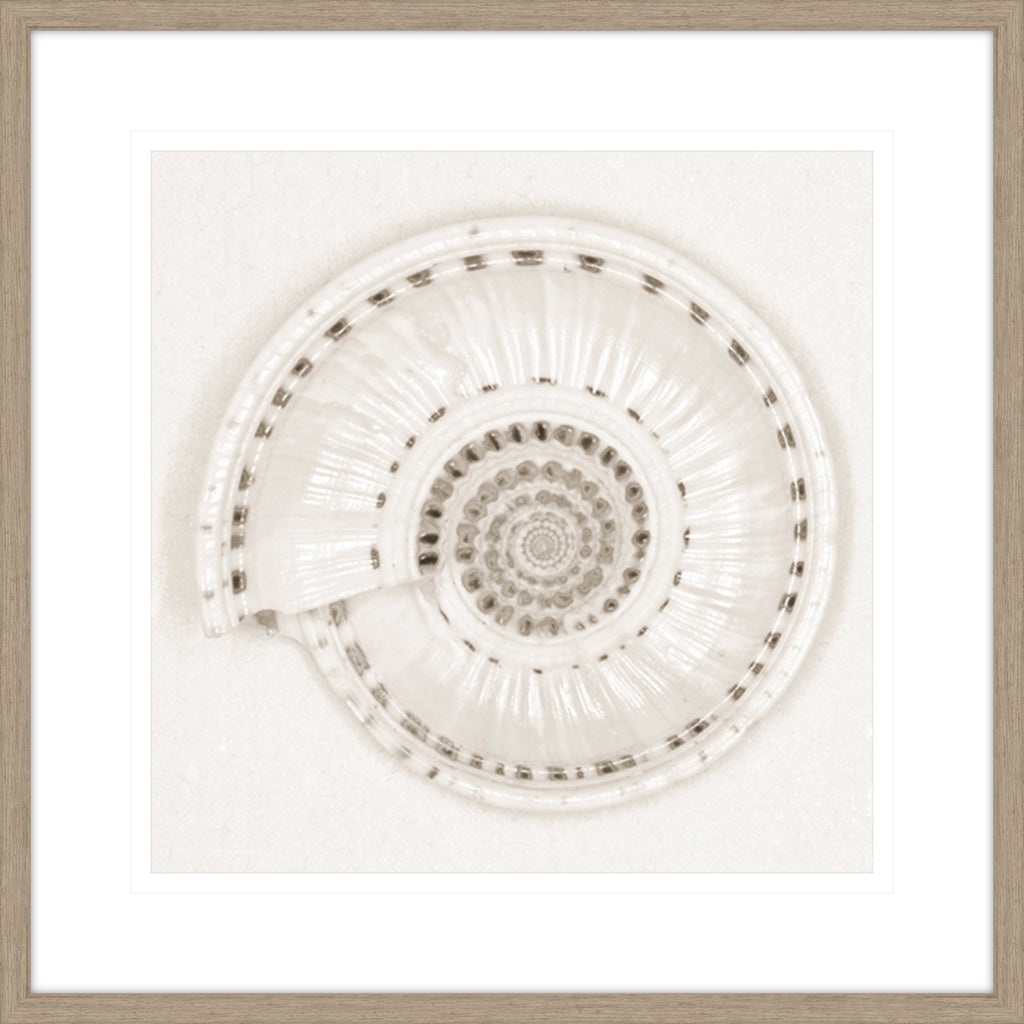 ARCHITECT SHELL - MONOCHROME