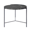 Shasta Coffee Table
