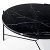 Shasta Coffee Table