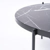 Shasta Coffee Table