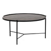 Shasta Coffee Table