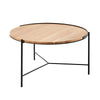 Shasta Coffee Table