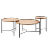 Shasta Coffee Table