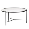 Shasta Coffee Table