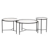 Shasta Coffee Table