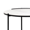 Shasta Coffee Table