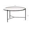 Shasta Coffee Table
