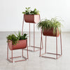 Gus Modello Planter Set