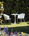 Rio Dining Arm Chair